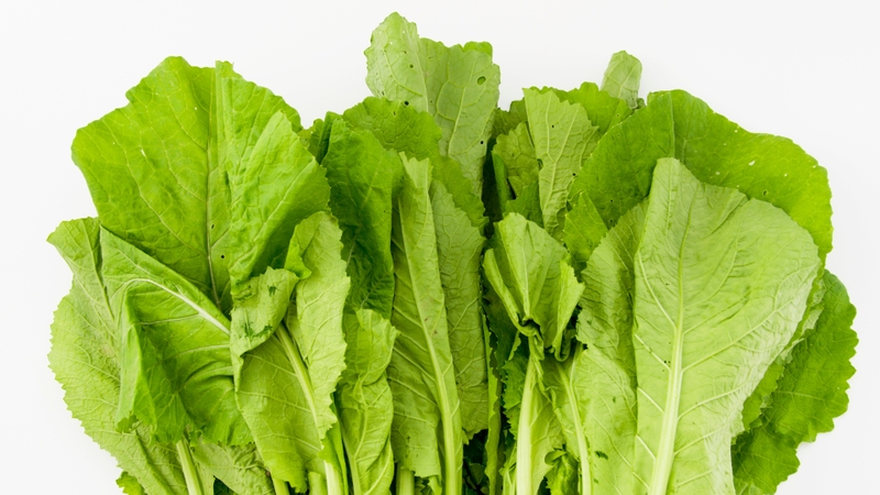 Cải bẹ xanh giàu chất xơ, hỗ trợ kiểm soát cân nặng hiệu quả trong thai kỳ