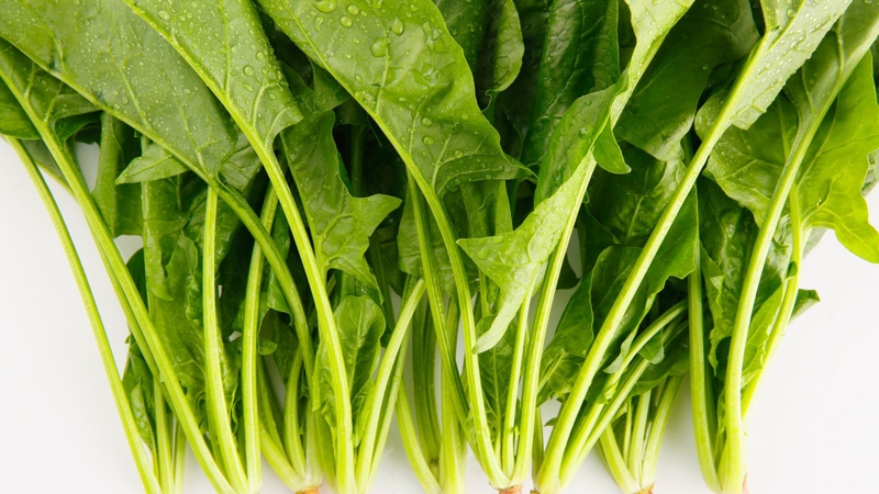 Bầu ăn cải bó xôi được không? Lợi ích và những lưu ý mẹ bầu cần biết 1