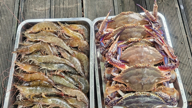 Bầu ăn cải bó xôi được không? Lợi ích và những lưu ý mẹ bầu cần biết 3