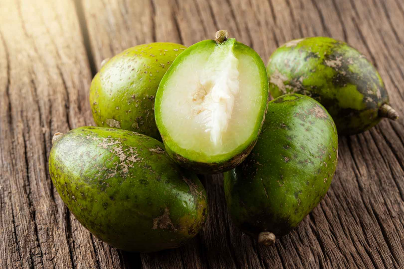 Bầu ăn cóc được không? Lợi ích của cóc đối với sức khỏe có thể mẹ bầu chưa biết 1