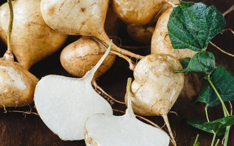 Bầu ăn củ đậu được không? Một số lưu ý khi ăn củ đậu dành cho bà bầu 1