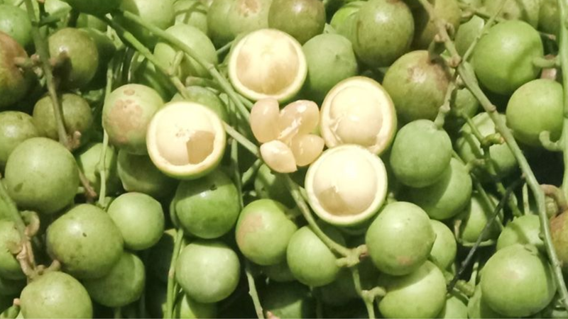 Bầu ăn dâu da nuốt hạt được không? Một số lưu ý khi ăn dâu cho bầu 3