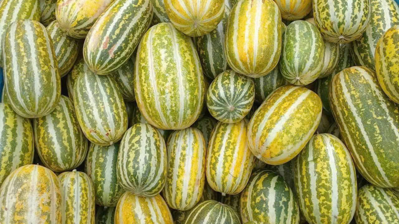 Dưa gang là nguồn cung cấp dồi dào các dưỡng chất cần thiết