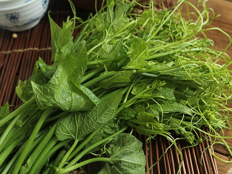 Bầu ăn rau bí được không? Những lợi ích của rau bí đối với phụ nữ mang thai 1