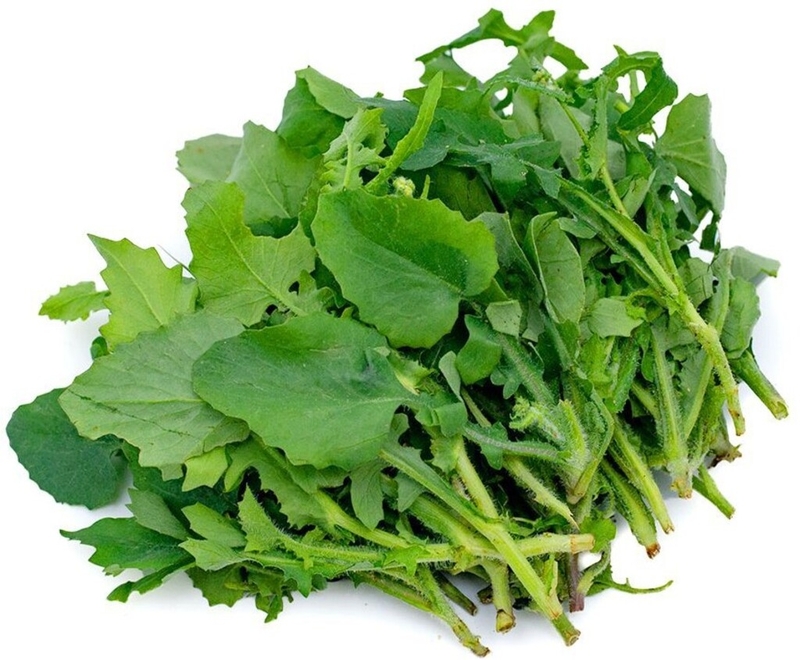 Bầu ăn rau cải trời được không? Công dụng tuyệt vời của rau cải trời có thể bạn chưa biết 1