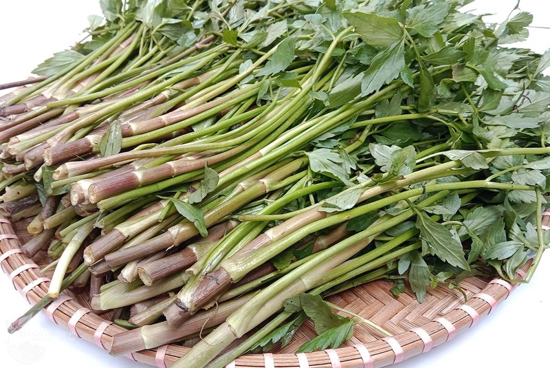 Bầu ăn rau cần ta được không? Nên sử dụng rau cần ta như thế nào? 1