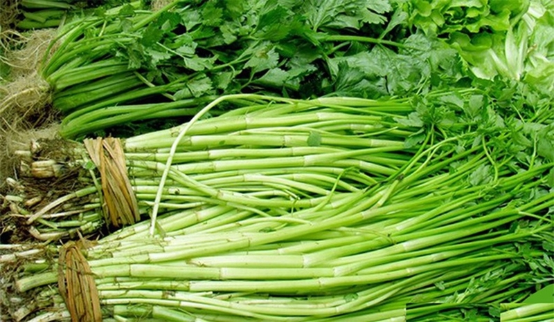 Bầu ăn rau cần ta được không? Nên sử dụng rau cần ta như thế nào? 3