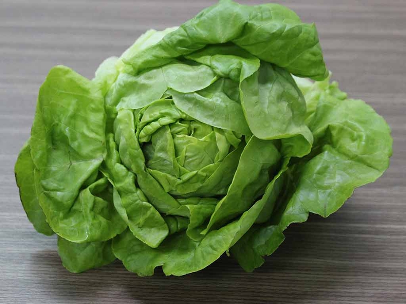 Bầu ăn rau xà lách được không? Những lợi ích rau xà lách mang lại cho bà bầu 1