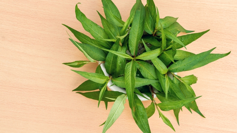 Bầu có ăn được rau răm không? Những lưu ý mẹ bầu cần biết 1