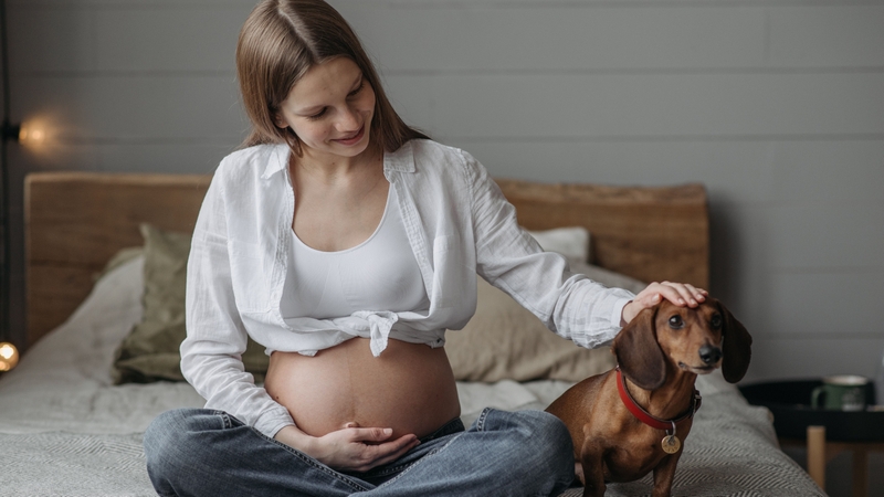 Bầu có nên mặc áo lót không là thắc mắc phổ biến hiện nay