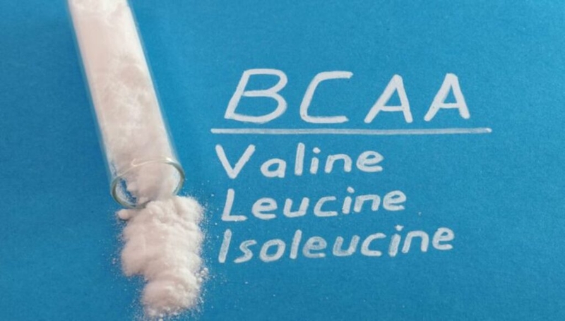 BCAA là gì? Những công dụng của BCAA đối với sức khỏe mà bạn nên biết 2