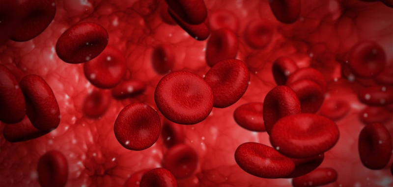 Bệnh cơ tim hạn chế là gì? Nguyên nhân và các dấu hiệu nhận biết bệnh cơ tim hạn chế 5