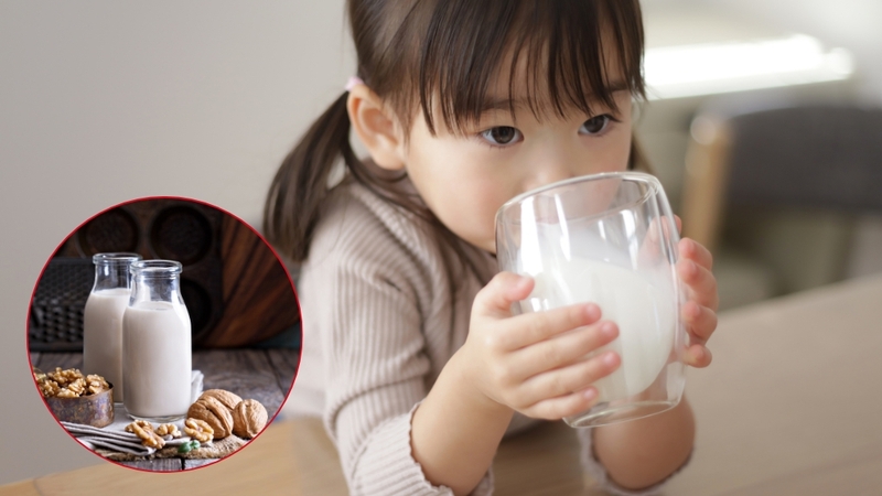 Bé 3 tuổi uống sữa hạt được không? Lợi ích và những điều cha mẹ cần biết 1