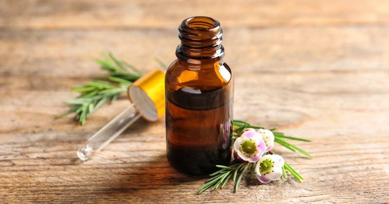 Nên ưu tiên chọn loại dầu tràm chất lượng, chiết xuất từ thiên nhiên