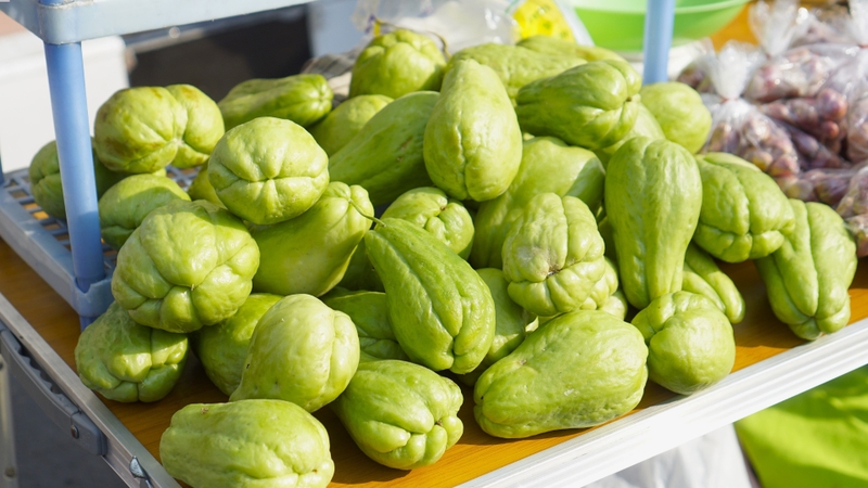 Bé mấy tháng ăn được quả su su? Cách cho bé ăn su su an toàn và lợi ích sức khỏe 1