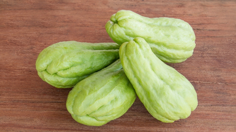 Bé mấy tháng ăn được quả su su? Cách cho bé ăn su su an toàn và lợi ích sức khỏe 5