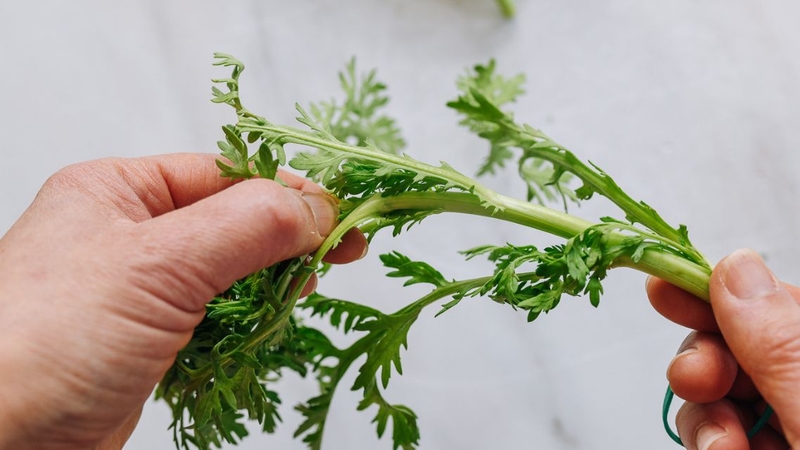 Rau cải cúc là loại rau nên có trong thực đơn ăn uống lành mạnh của trẻ