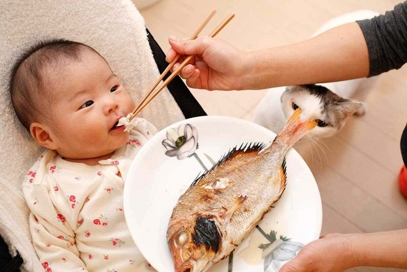 Bé mấy tháng ăn được thịt cá tôm? Những điều mẹ cần lưu ý khi cho trẻ ăn được thịt cá tôm 1