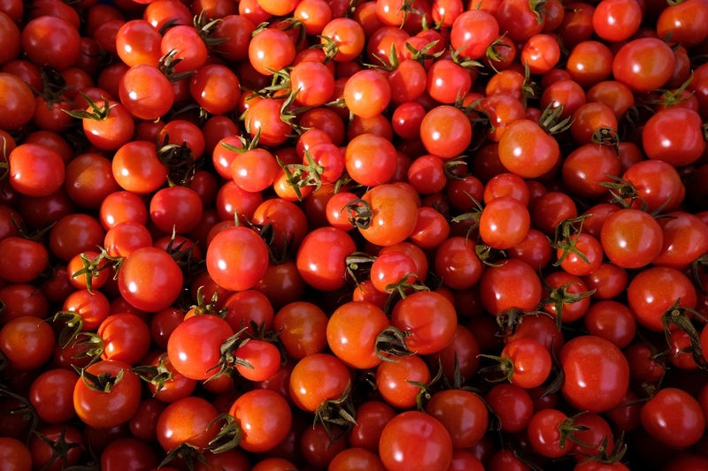 Bé mấy tháng ăn được cà chua? Cà chua có lợi ích gì đối với trẻ nhỏ? 3