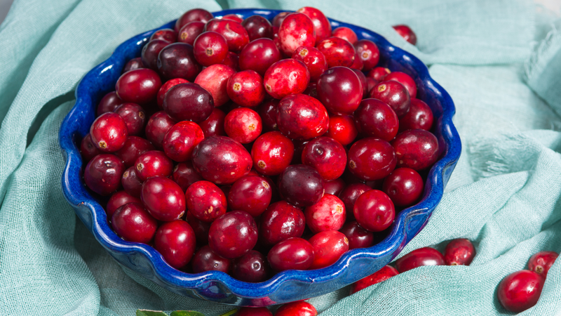 Bearberry giàu vitamin C, giúp tăng cường sức khỏe răng miệng