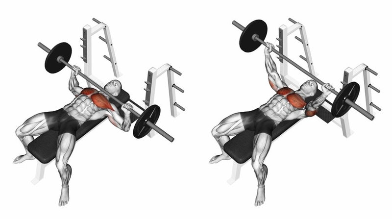 Bench press là gì? Hướng dẫn tập bench press đúng cách 3