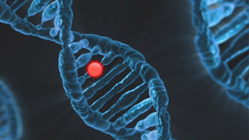 Hiểu đúng và đủ về bệnh Morquio - Rối loạn chuyển hóa di truyền hiếm gặp 2