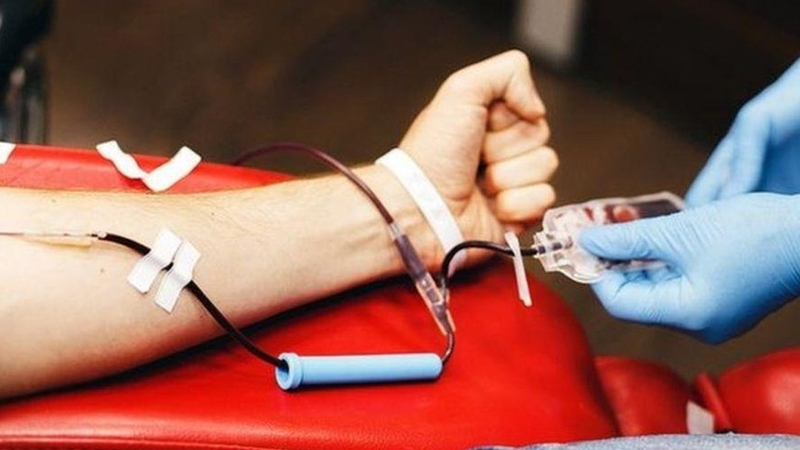 Bệnh Babesiosis (Babesia): Nguyên nhân, triệu chứng, chữa trị và cách phòng ngừa 3