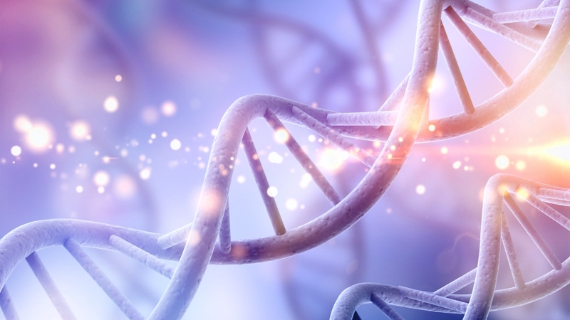 Bệnh bạch cầu lymphoblastic cấp tính và những điều bạn cần biết 3