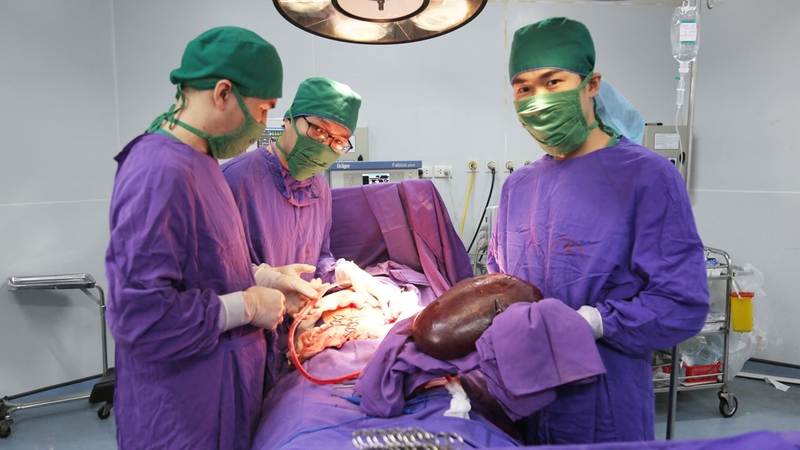 Bệnh bạch cầu tế bào tóc là gì? 4