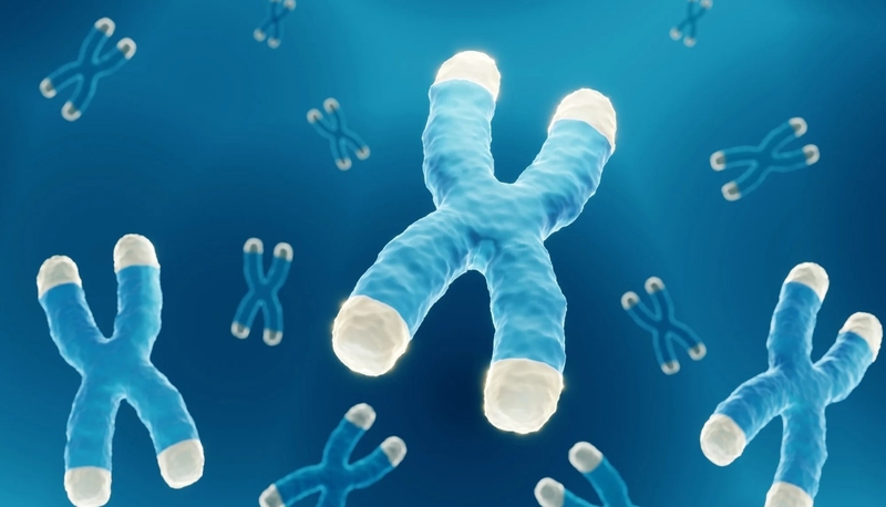 Bệnh bạch tạng là đột biến gì? Dấu hiệu nhận biết và cách điều trị bệnh 2