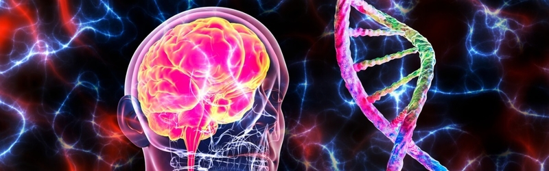 Bệnh bò điên lây qua đường nào? Dấu hiệu mắc bệnh bò điên là gì? 1