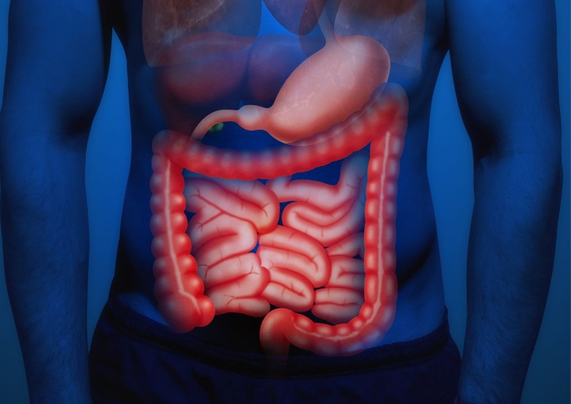 Bệnh crohn có nguy hiểm không? Cách phòng tránh bệnh Crohn  1