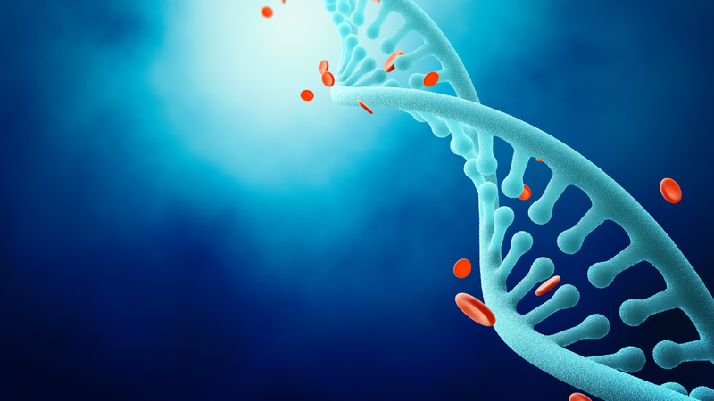 Bệnh da xanh là bệnh gì và có chữa được không? 4