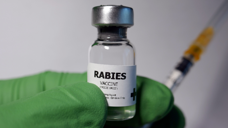 benh-dai-co-lay-qua-duong-an-uong-khong 4