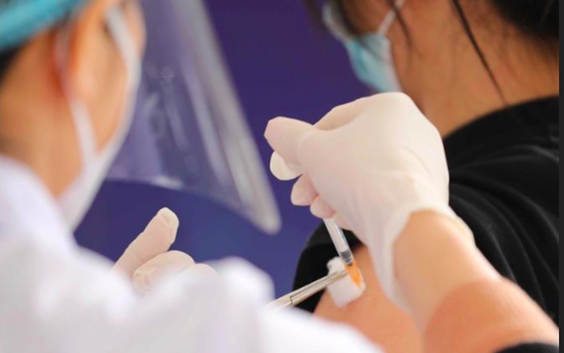 bệnh dại lây qua đường nào 3