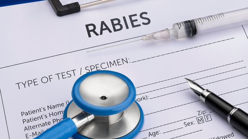 Bệnh dại thể liệt – Triệu chứng nhận biết và cách phòng ngừa1