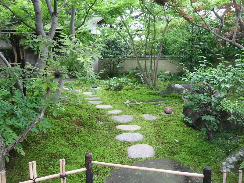 Kinh nghiệm từ chuyên gia để điều trị bệnh dị ứng côn trùng 3