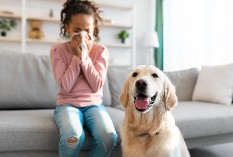 Cách phòng chống bệnh dị ứng hiệu quả 2