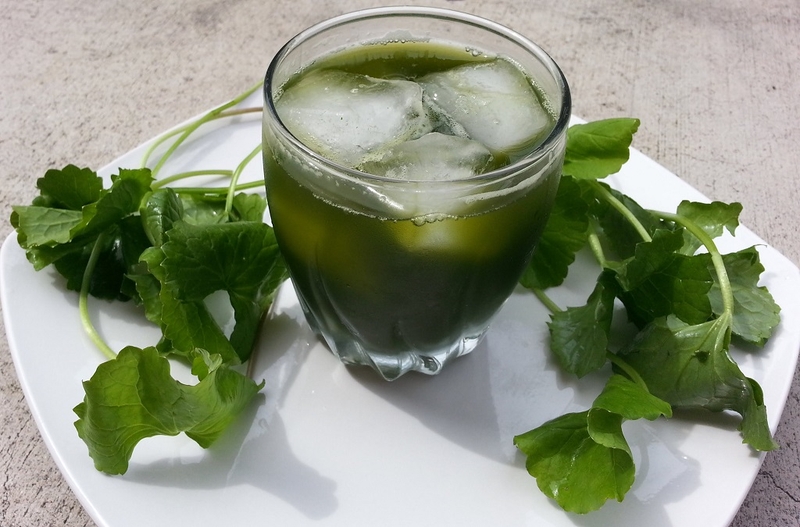 5 cách điều trị bệnh dị ứng mề đay bằng phương pháp dân gian 2