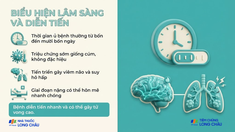 Bệnh do virus Nipah tiến triển nhanh, gây viêm não, suy hô hấp và nguy cơ tử vong cao