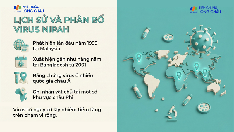 Virus Nipah có nguy cơ lan rộng do vật chủ tồn tại ở nhiều khu vực