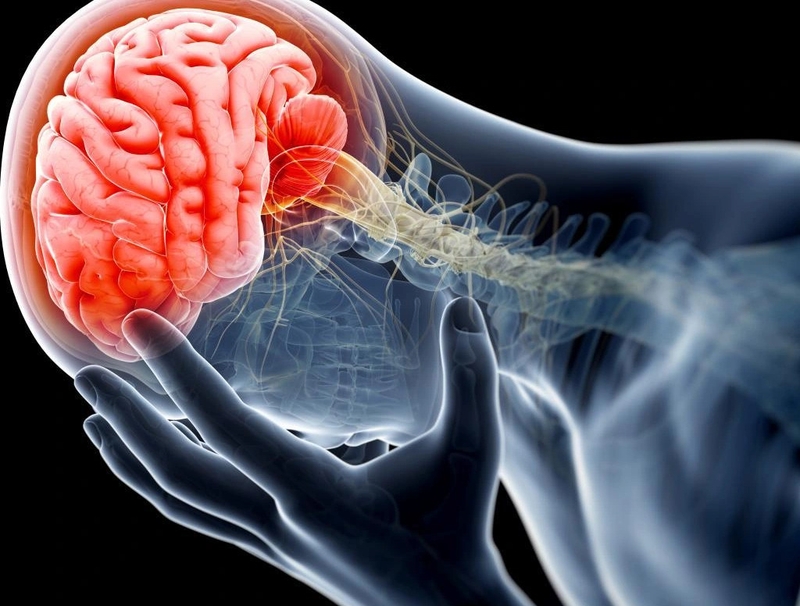 Bệnh động kinh có chữa được không? Tác động của bệnh động kinh đối với sức khỏe 3