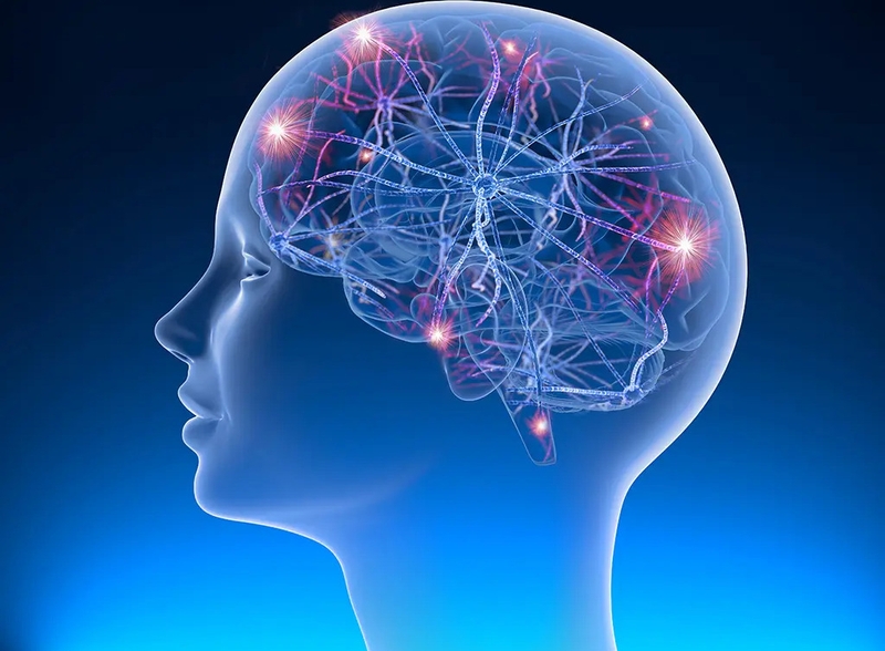 Bệnh động kinh nên ăn gì? Các chế độ ăn đặc biệt giúp dự phòng động kinh tái phát 1