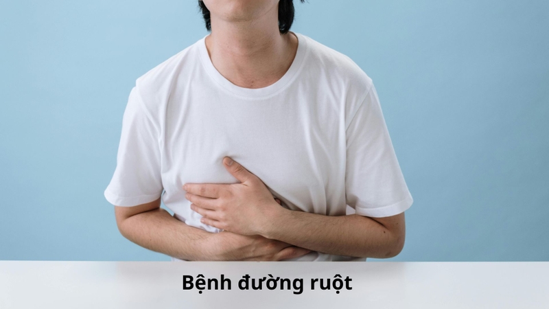 Bệnh đường ruột là tên gọi chung của các bệnh lý ở ruột non và đại tràng