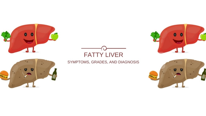 Biện pháp phòng tránh và điều trị gan nhiễm mỡ độ 2