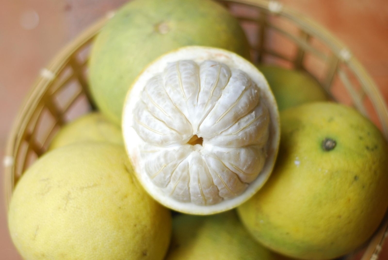 Bệnh gout nên ăn hoa quả gì để giảm acid uric máu 4