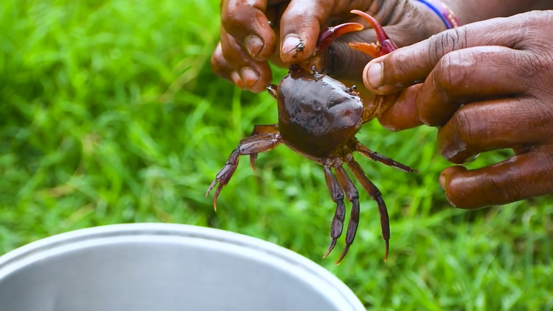 Bệnh gút có ăn được canh cua không? Nguy cơ gì khi ăn? 3