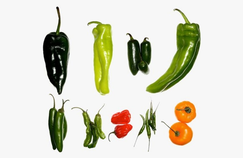 Bệnh gút có ăn được ớt không? Khi bị bệnh gút cần lưu ý những gì? 1