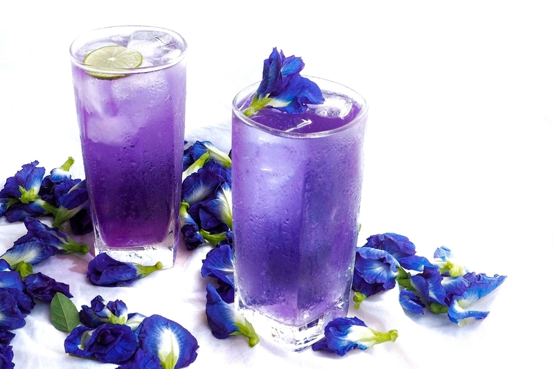 Bệnh huyết áp thấp có uống được hoa đậu biếc không? 4