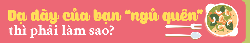 Bệnh liệt dạ dày: Khi dạ dày “ngủ quên” và hành trình tìm lại cảm giác no đúng nghĩa h2 5